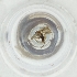  ( - MOZZ00000842A_D1)  @11 [ ] by (2004) Genome Research Ltd as Wellcome Sanger Institute Genome Research Limited operating as Wellcome Sanger Institute