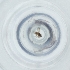  ( - MOZZ00000845A_B3)  @11 [ ] by (2004) Genome Research Ltd as Wellcome Sanger Institute Genome Research Limited operating as Wellcome Sanger Institute