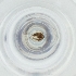  ( - MOZZ00000852A_C1)  @11 [ ] by (2004) Genome Research Ltd as Wellcome Sanger Institute Genome Research Limited operating as Wellcome Sanger Institute