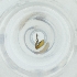  ( - MOZZ00000864A_B1)  @11 [ ] by (2004) Genome Research Ltd as Wellcome Sanger Institute Genome Research Limited operating as Wellcome Sanger Institute