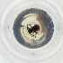  ( - MOZZ00000864A_E8)  @11 [ ] by (2004) Genome Research Ltd as Wellcome Sanger Institute Genome Research Limited operating as Wellcome Sanger Institute
