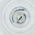  ( - MOZZ00000867A_D6)  @11 [ ] by (2004) Genome Research Ltd as Wellcome Sanger Institute Genome Research Limited operating as Wellcome Sanger Institute
