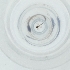  ( - MOZZ00000868A_C10)  @11 [ ] by (2004) Genome Research Ltd as Wellcome Sanger Institute Genome Research Limited operating as Wellcome Sanger Institute