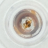  ( - MOZZ00000869A_C3)  @11 [ ] by (2004) Genome Research Ltd as Wellcome Sanger Institute Genome Research Limited operating as Wellcome Sanger Institute