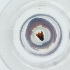  ( - MOZZ00000870A_G3)  @11 [ ] by (2004) Genome Research Ltd as Wellcome Sanger Institute Genome Research Limited operating as Wellcome Sanger Institute