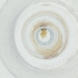  ( - MOZZ00000870A_H8)  @11 [ ] by (2004) Genome Research Ltd as Wellcome Sanger Institute Genome Research Limited operating as Wellcome Sanger Institute