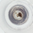  ( - MOZZ00000871A_H7)  @11 [ ] by (2004) Genome Research Ltd as Wellcome Sanger Institute Genome Research Limited operating as Wellcome Sanger Institute