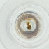  ( - MOZZ00000872A_H4)  @11 [ ] by (2004) Genome Research Ltd as Wellcome Sanger Institute Genome Research Limited operating as Wellcome Sanger Institute