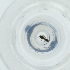  ( - MOZZ00000886A_G3)  @11 [ ] by (2004) Genome Research Ltd as Wellcome Sanger Institute Genome Research Limited operating as Wellcome Sanger Institute