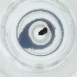  ( - SHAP_003_B6)  @11 [ ] by (2004) Genome Research Ltd as Wellcome Sanger Institute Genome Research Limited operating as Wellcome Sanger Institute