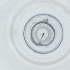  ( - SHAP_004_B12)  @11 [ ] by  Genome Research Ltd as Wellcome Sanger Institute Genome Research Limited operating as Wellcome Sanger Institute