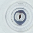  ( - SHAP_004_G3)  @11 [ ] by  Genome Research Ltd as Wellcome Sanger Institute Genome Research Limited operating as Wellcome Sanger Institute