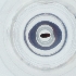  ( - SHAP_005_F8)  @11 [ ] by  Genome Research Ltd as Wellcome Sanger Institute Genome Research Limited operating as Wellcome Sanger Institute