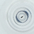  ( - SHAP_006_E12)  @11 [ ] by  Genome Research Ltd as Wellcome Sanger Institute Genome Research Limited operating as Wellcome Sanger Institute