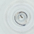  ( - SHAP_010_D5)  @11 [ ] by  Genome Research Ltd as Wellcome Sanger Institute Genome Research Limited operating as Wellcome Sanger Institute