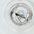  ( - SHAP_014_A9)  @11 [ ] by  Genome Research Ltd as Wellcome Sanger Institute Genome Research Limited operating as Wellcome Sanger Institute