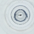  ( - SHAP_014_D9)  @11 [ ] by  Genome Research Ltd as Wellcome Sanger Institute Genome Research Limited operating as Wellcome Sanger Institute