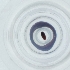  ( - SHAP_015_A1)  @11 [ ] by  Genome Research Ltd as Wellcome Sanger Institute Genome Research Limited operating as Wellcome Sanger Institute