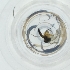  ( - SHAP_015_B8)  @11 [ ] by  Genome Research Ltd as Wellcome Sanger Institute Genome Research Limited operating as Wellcome Sanger Institute