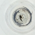  ( - SHAP_015_C7)  @11 [ ] by  Genome Research Ltd as Wellcome Sanger Institute Genome Research Limited operating as Wellcome Sanger Institute