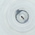  ( - SHAP_023_D11)  @11 [ ] by  Genome Research Ltd as Wellcome Sanger Institute Genome Research Limited operating as Wellcome Sanger Institute
