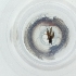  ( - SHAP_023_D12)  @11 [ ] by  Genome Research Ltd as Wellcome Sanger Institute Genome Research Limited operating as Wellcome Sanger Institute