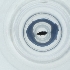  ( - SHAP_026_B12)  @11 [ ] by  Genome Research Ltd as Wellcome Sanger Institute Genome Research Limited operating as Wellcome Sanger Institute