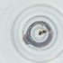  ( - SHAP_027_H1)  @11 [ ] by  Genome Research Ltd as Wellcome Sanger Institute Genome Research Limited operating as Wellcome Sanger Institute