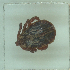  ( - NMNH-2022-033-D09)  @11 [ ] No Rights Reserved (2022) Yvonne Linton Smithsonian Institution National Museum of Natural History