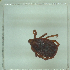  ( - NMNH-2022-034-E09)  @11 [ ] No Rights Reserved (2022) Yvonne Linton Smithsonian Institution National Museum of Natural History