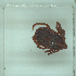  ( - NMNH-2022-034-F07)  @11 [ ] No Rights Reserved (2022) Yvonne Linton Smithsonian Institution National Museum of Natural History