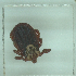  ( - NMNH-2022-035-H08)  @11 [ ] No Rights Reserved (2022) Yvonne Linton Smithsonian Institution National Museum of Natural History