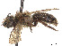  ( - CCDB-37881-D04)  @11 [ ] CreativeCommons - Attribution Share - Alike (2024) CBG Photography Group Centre for Biodiversity Genomics