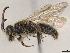  ( - CCDB-37885-A02)  @11 [ ] CreativeCommons - Attribution (2023) CBG Photography Group Centre for Biodiversity Genomics