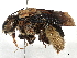  ( - CCDB-37885-B12)  @11 [ ] CreativeCommons - Attribution (2023) CBG Photography Group Centre for Biodiversity Genomics