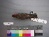  ( - USNM 643359)  @13 [ ] Unspecified (default): All Rights Reserved  Unspecified Unspecified