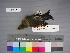  ( - USNM 643392)  @12 [ ] Unspecified (default): All Rights Reserved  Unspecified Unspecified
