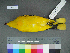  ( - USNM 641322)  @13 [ ] Copyright  Smithsonian Institution 2010 Unspecified