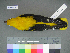  ( - USNM 641322)  @14 [ ] Copyright  Smithsonian Institution 2010 Unspecified