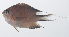  ( - PIL-165)  @11 [ ] CreativeCommons  Attribution Non-Commercial (by-nc) (2014) Unspecified Smithsonian Institution National Museum of Natural History