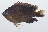  ( - PIL-180)  @11 [ ] CreativeCommons  Attribution Non-Commercial (by-nc) (2014) Unspecified Smithsonian Institution National Museum of Natural History