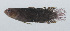  ( - PIL-186)  @11 [ ] CreativeCommons  Attribution Non-Commercial (by-nc) (2014) Unspecified Smithsonian Institution National Museum of Natural History