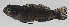  ( - PIL-210)  @11 [ ] CreativeCommons  Attribution Non-Commercial (by-nc) (2014) Unspecified Smithsonian Institution National Museum of Natural History