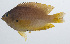  ( - PIL-280)  @11 [ ] CreativeCommons  Attribution Non-Commercial (by-nc) (2014) Unspecified Smithsonian Institution National Museum of Natural History