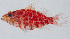  ( - PIL-366)  @11 [ ] CreativeCommons  Attribution Non-Commercial (by-nc) (2014) Unspecified Smithsonian Institution National Museum of Natural History