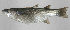  ( - PIL-379)  @11 [ ] CreativeCommons  Attribution Non-Commercial (by-nc) (2014) Unspecified Smithsonian Institution National Museum of Natural History