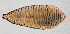  ( - PIL-395)  @11 [ ] CreativeCommons  Attribution Non-Commercial (by-nc) (2014) Unspecified Smithsonian Institution National Museum of Natural History