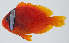  ( - PIL-413)  @11 [ ] CreativeCommons  Attribution Non-Commercial (by-nc) (2014) Unspecified Smithsonian Institution National Museum of Natural History