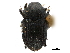  ( - CCDB-30438-A01)  @11 [ ] CreativeCommons - Attribution (2018) CBG Photography Group Smithsonian Institution