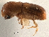  ( - CCDB-30438-B02)  @11 [ ] CreativeCommons - Attribution (2018) CBG Photography Group Smithsonian Institution